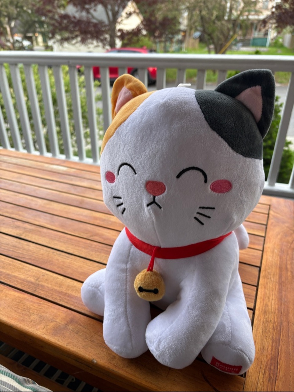Cute Cat